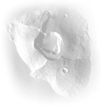 Tharsis Tholus
